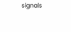 Firmenlogo: signals (Signal Iduna Gruppe) Firmenlogo: signals (Signal Iduna Gruppe)